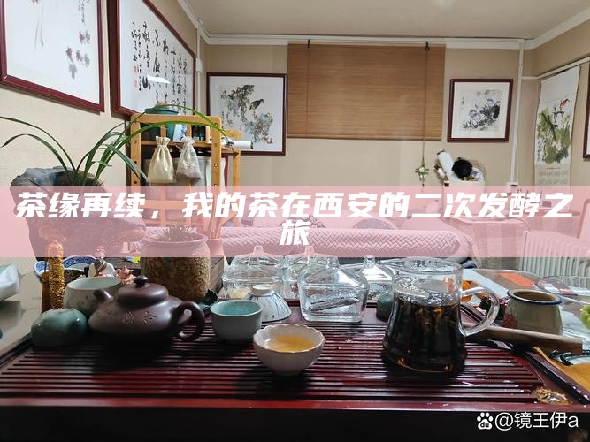茶缘再续，我的茶在西安的二次发酵之旅