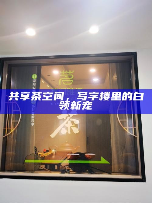 西安实体店大选，高端茶室引领沉浸式品茶新风尚