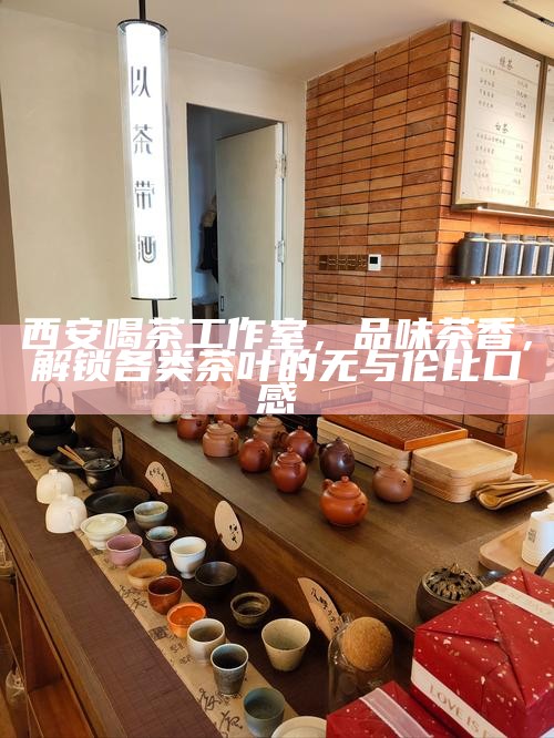 西安品茶工作室，正宗名茶与小众茶品的品质之旅